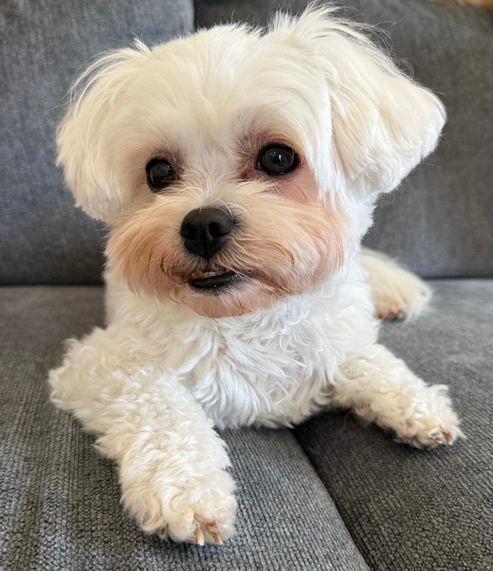 Charlie 